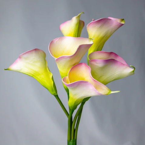 Yellow/Pink Small Calla Lily - Realistic Artificial Flowers