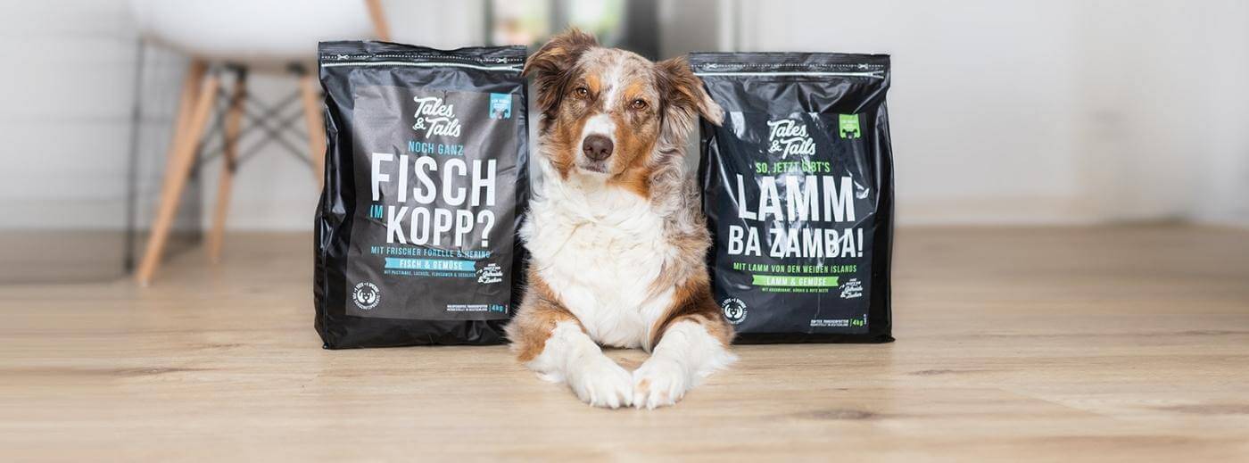 Trockenfutter für Hunde