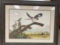 The Tennessee Mockingbird by Ralph J. McDonald-Framed Pint