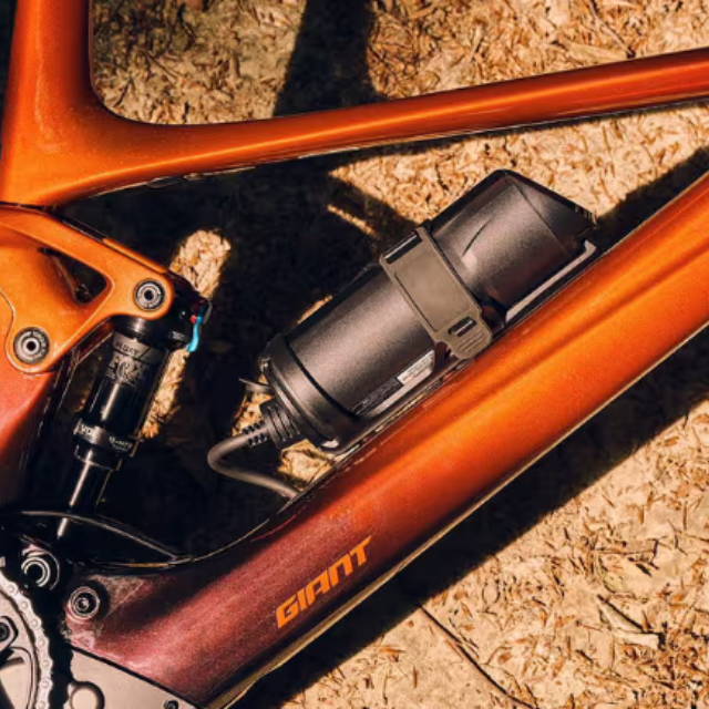 Giant electric bike