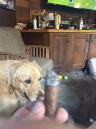 Cigar Session Photo