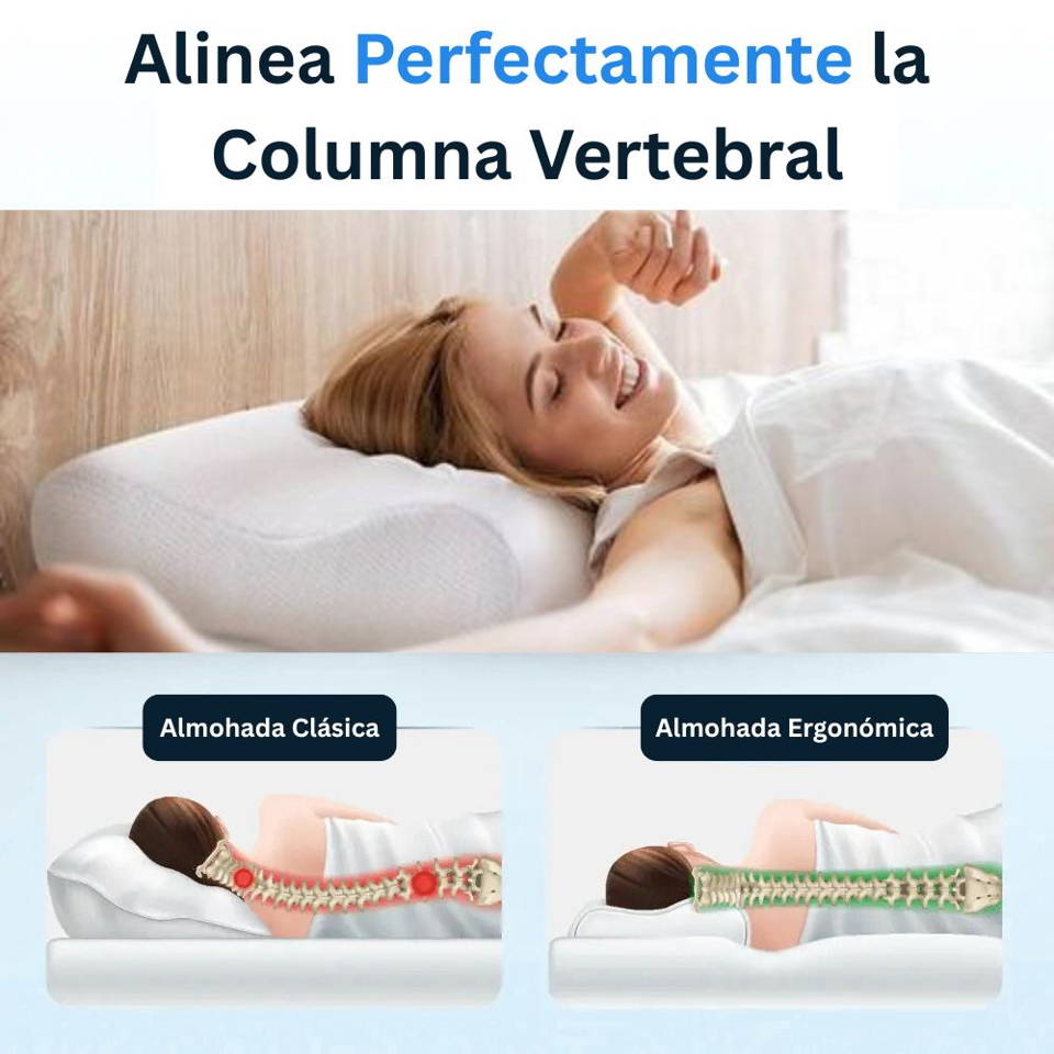 Oreiller Orthopedique, Oreiller Memoire de Forme, Coussin Cervical, Oreiller Ergonomique, Coussin Memoire de Forme, Oreiller Cervical