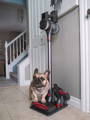Maircle S3 Cordless Pet Vacuum