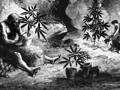 historical usage of cannabis