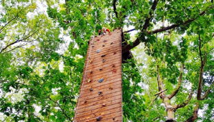 treetree die kletterwand