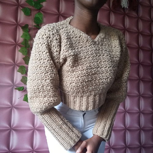 Casual Sweater|Cropped Crochet Sweater