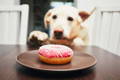 pes-a-donut-na-tanieri