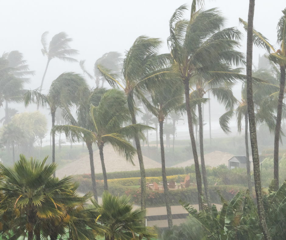 featured image for story, Preparáte para la temporada de huracanes: Asegurando que tu techo pueda soportar
la tormenta