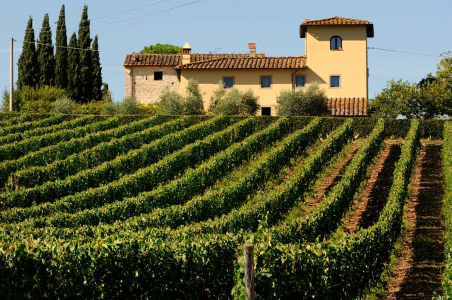 An impressive piece of Florence: Tuscany Wine Relishing Whole-Day Trip - photo 6