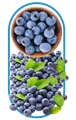 A bowl of Bilberries thats made into the best lutein supplement