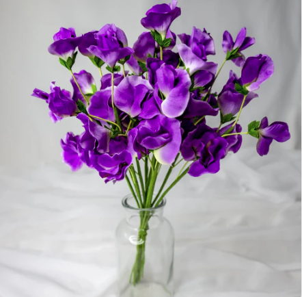 Mauve Sweet Pea - Realistic Artificial Flowers)