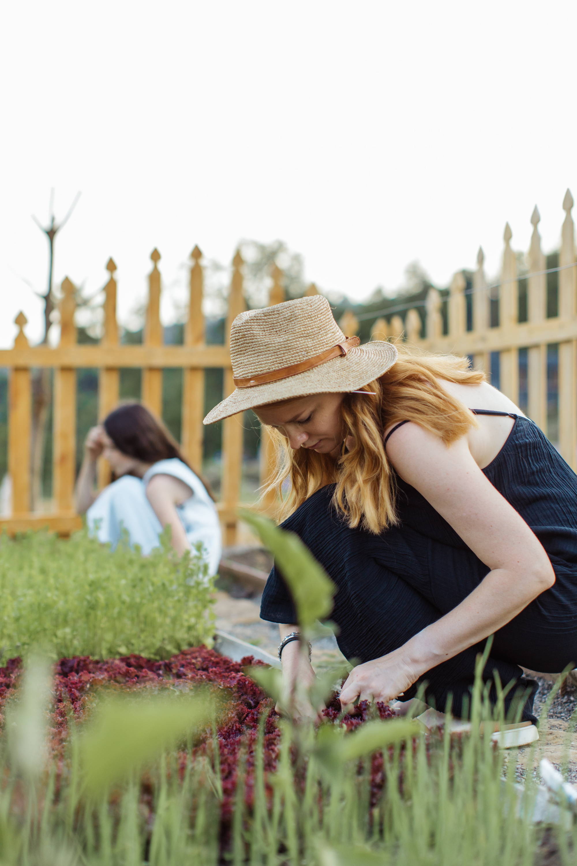 Reduce carbon, produce compost and support reusable and recycling activities by creating a sustainable, clean and eco-friendly environment
