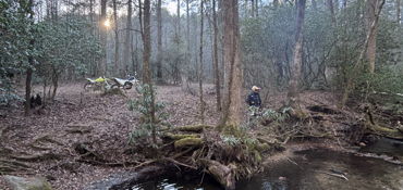 The Ellijay Suches Sampler near Cherry Log, GA