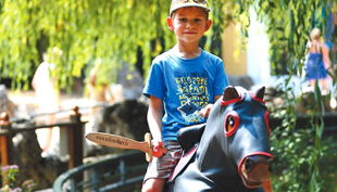 schloss thurn knappenschule