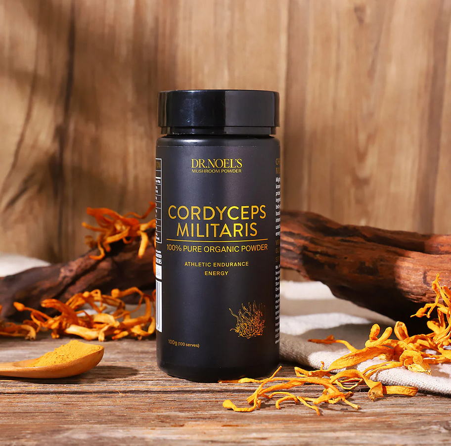 Concentrated Organic Cordyceps Militaris Mushroom Powder - Image 2