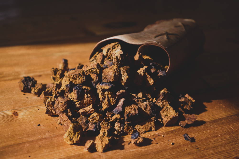 Chaga mushrooms on table