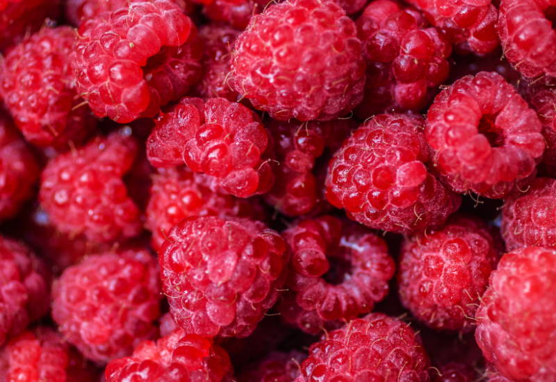 木苺 ラズベリー 違い