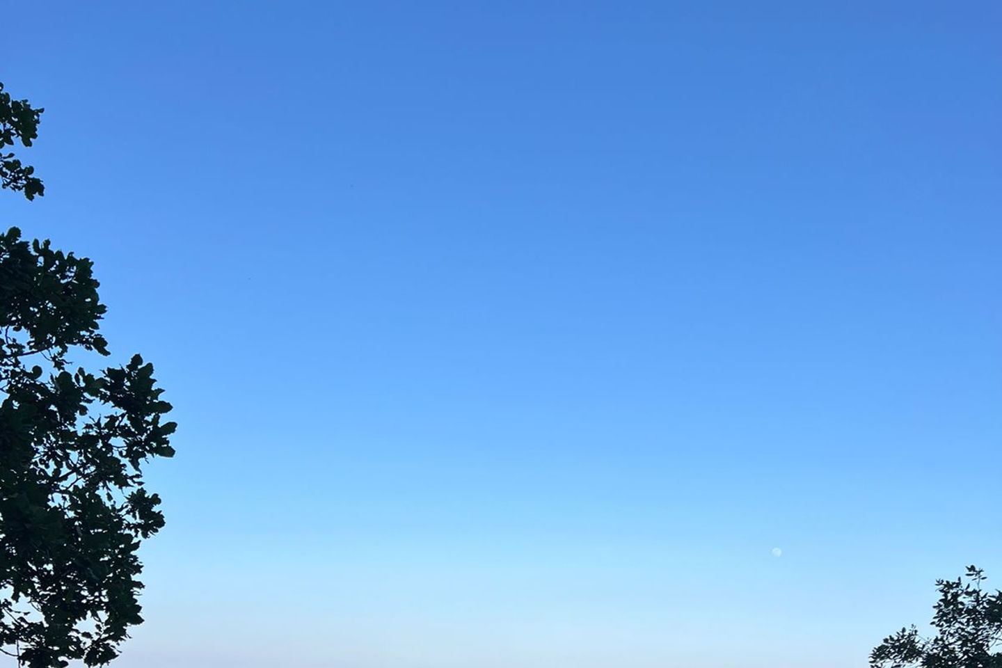 slider-image