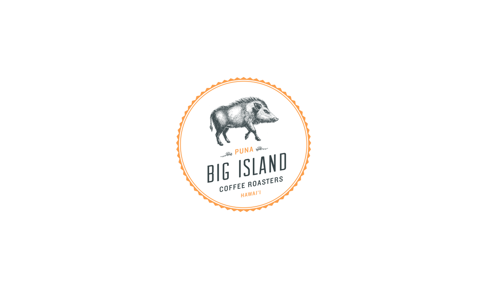 bigisland_logo@2x.png