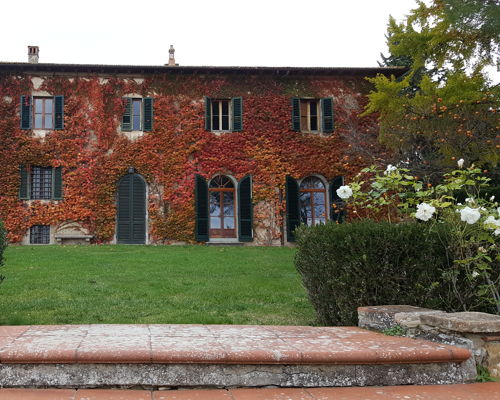 Food & Wine Tours San Donato: Barberino Tavarnelle: wine tasting and local products
