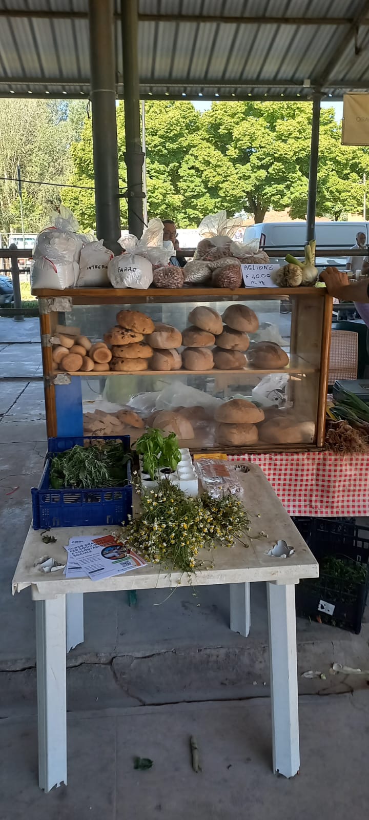 Farmer's market and cooking class 2026 - Lucca Food & Wine Tours | Cesarine