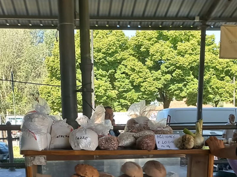 Food & Wine Tours Lucca: Farmer's market and cooking class