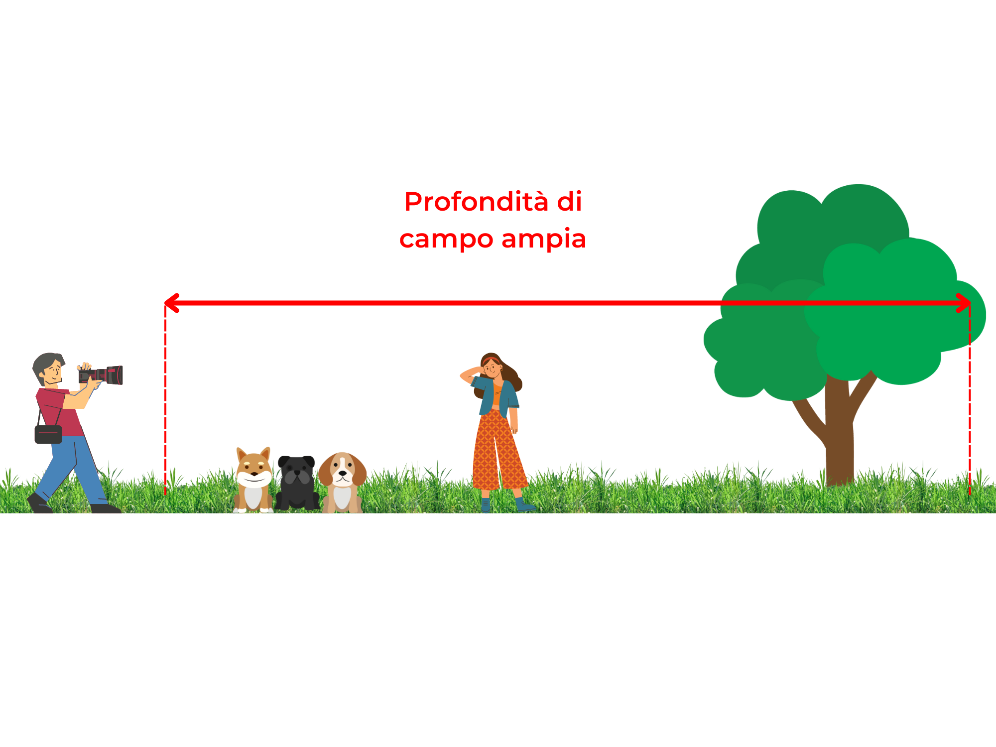  profondità di campo ampia. sia la ragazza messa a fuoco che gli elementi davanti e dietro ad essa sono a fuoco