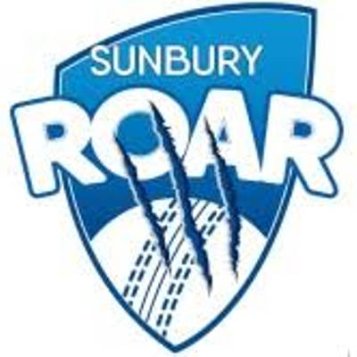 Sunbury Cricket Club Cricket Club Logo