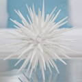 Image is of a white, resin sea urchin.
