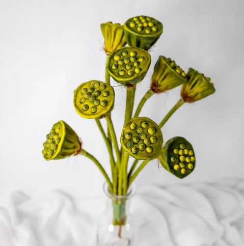 Lotus Pod - Realistic Artificial Flowers and Greenery - Image 4