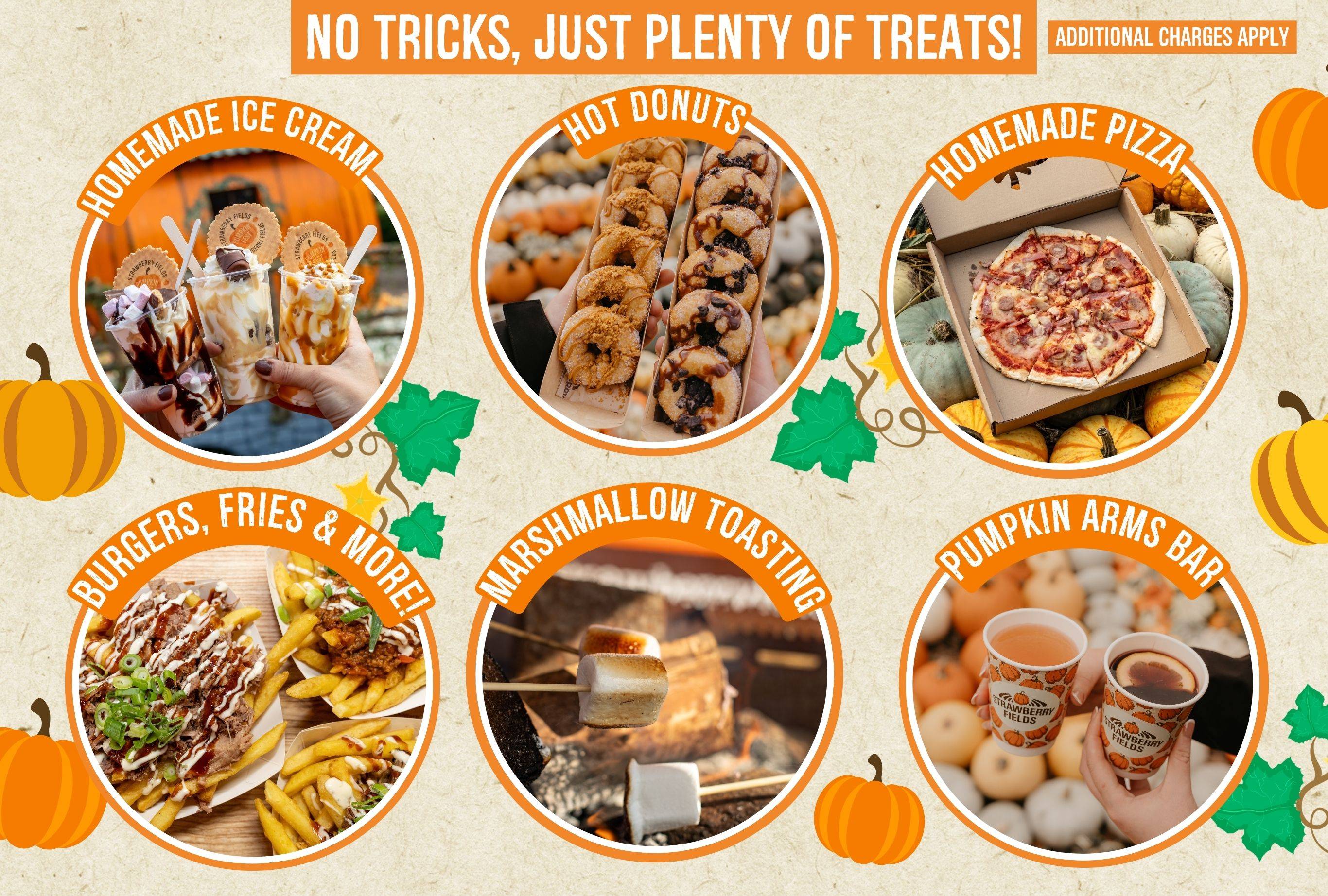Discover the biggest and best pumpkin festival in Devon & Cornwall, and South West! Pumpkin Fest at Strawberry Fields is the ultimate family day out with a huge pumpkin patch, pumpkin picking, maize maze, barrel train rides, photo spots, tasty autumn treats & fun for all ages. Book now!