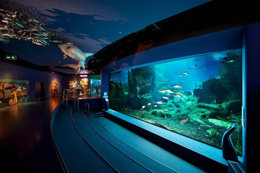 Istanbul Aquarium Florya with Transfer - photo 5