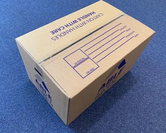 Able Carry Carton with Handle Storage Box