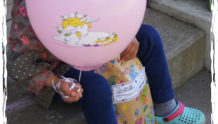 bilder webseite at x