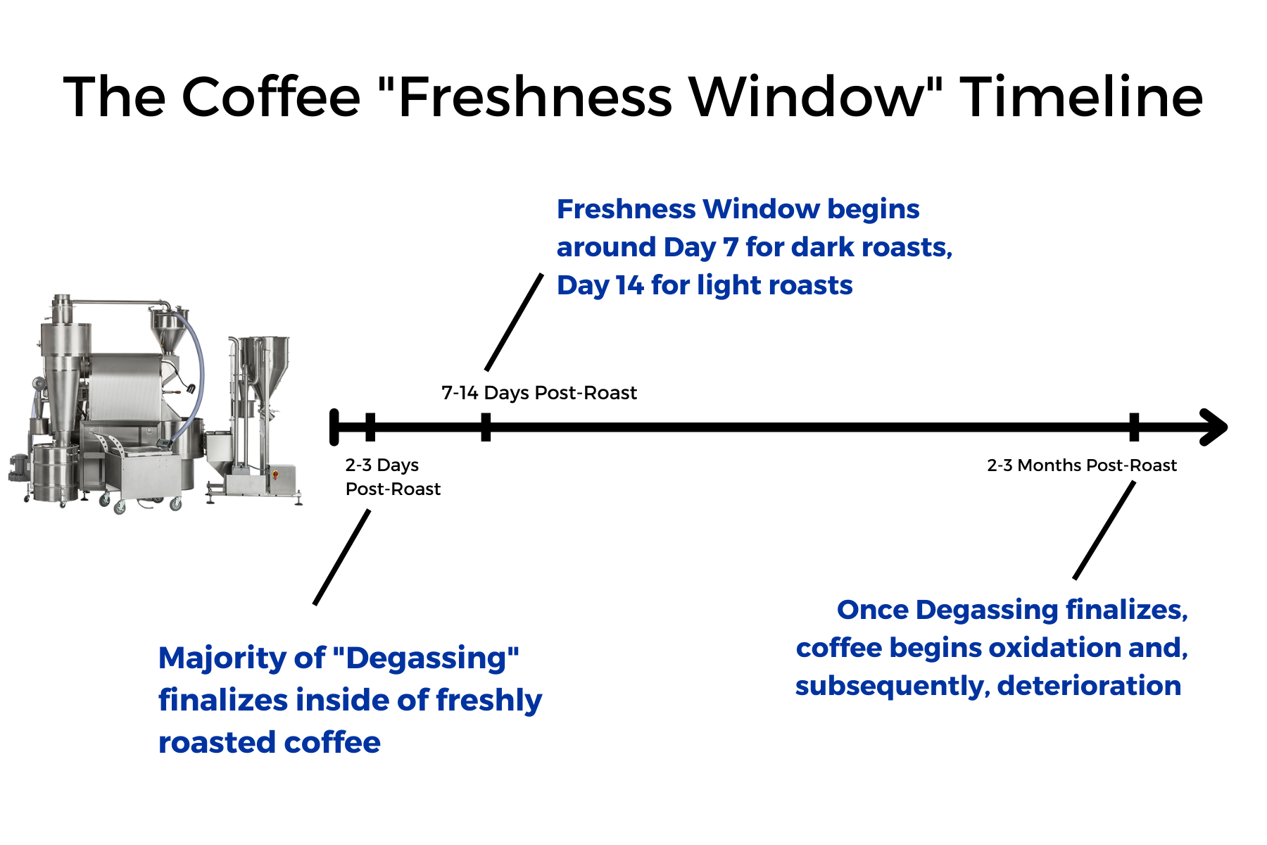 Coffee freshness window timeline