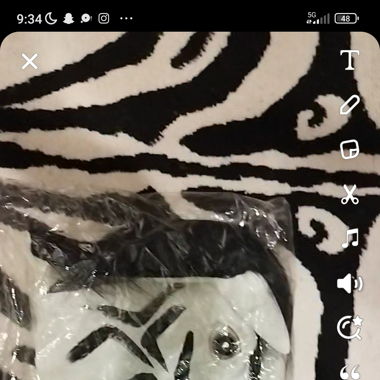 Zebra Maske 