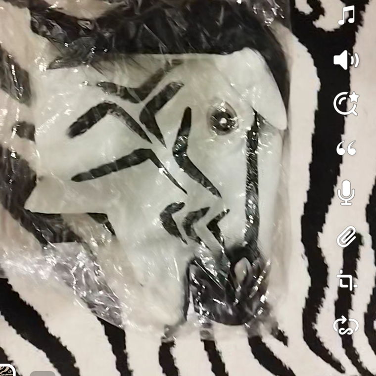 Zebra Maske 