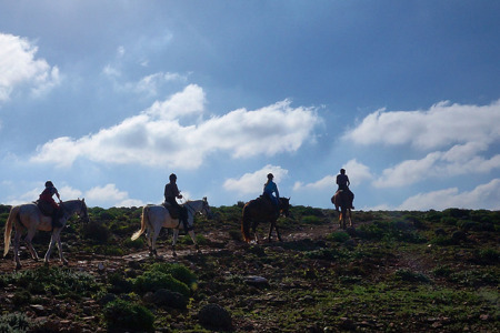 horse riding atlas mountain.png