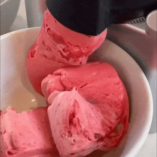 FRUITILY™ ICE CREAM MAKER – BleamCove