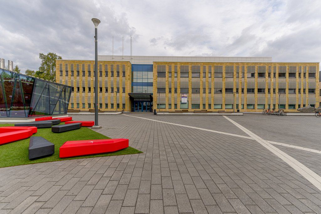 profile-2