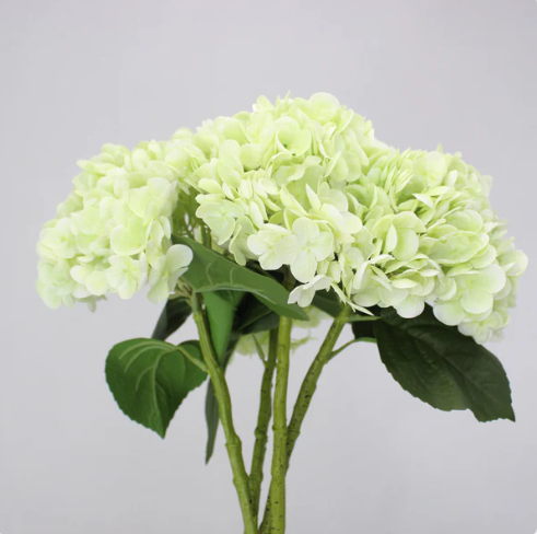 Light Green Real Touch Hydrangea - Realistic Artificial Flowers - Image 3