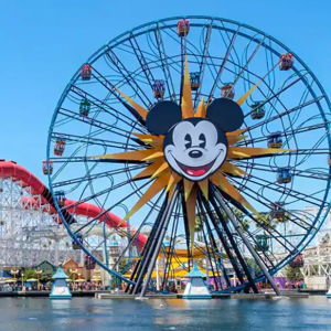 Honeymoon at Disneyland & Universal Studios