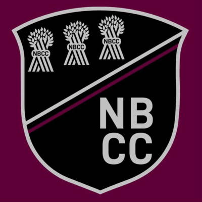 New Brighton Cricket Club Logo