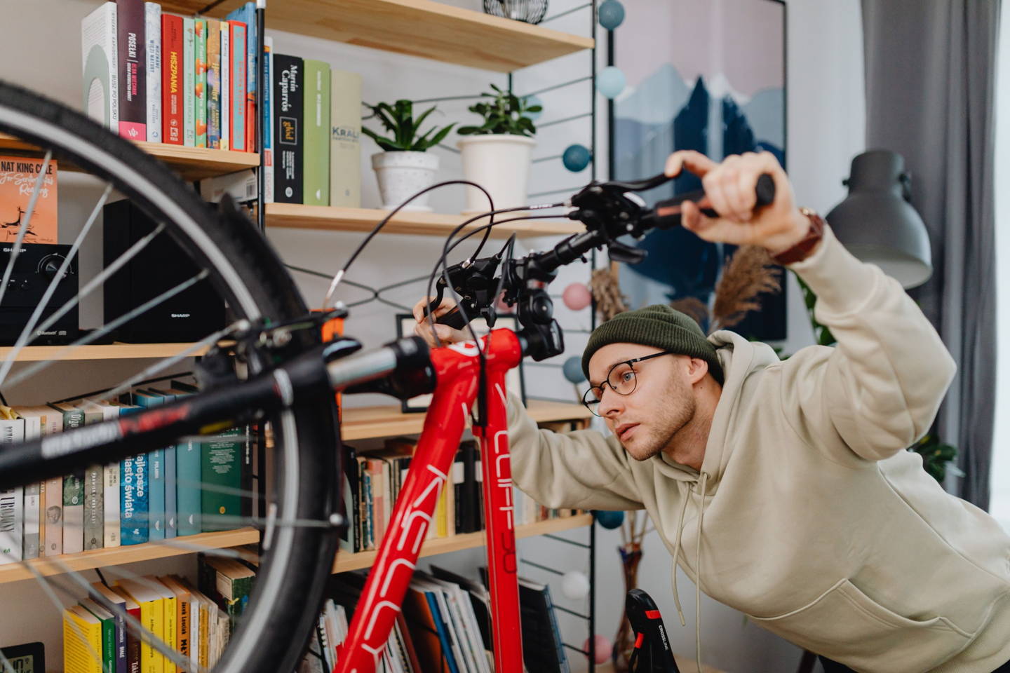 mountain bike elettrica