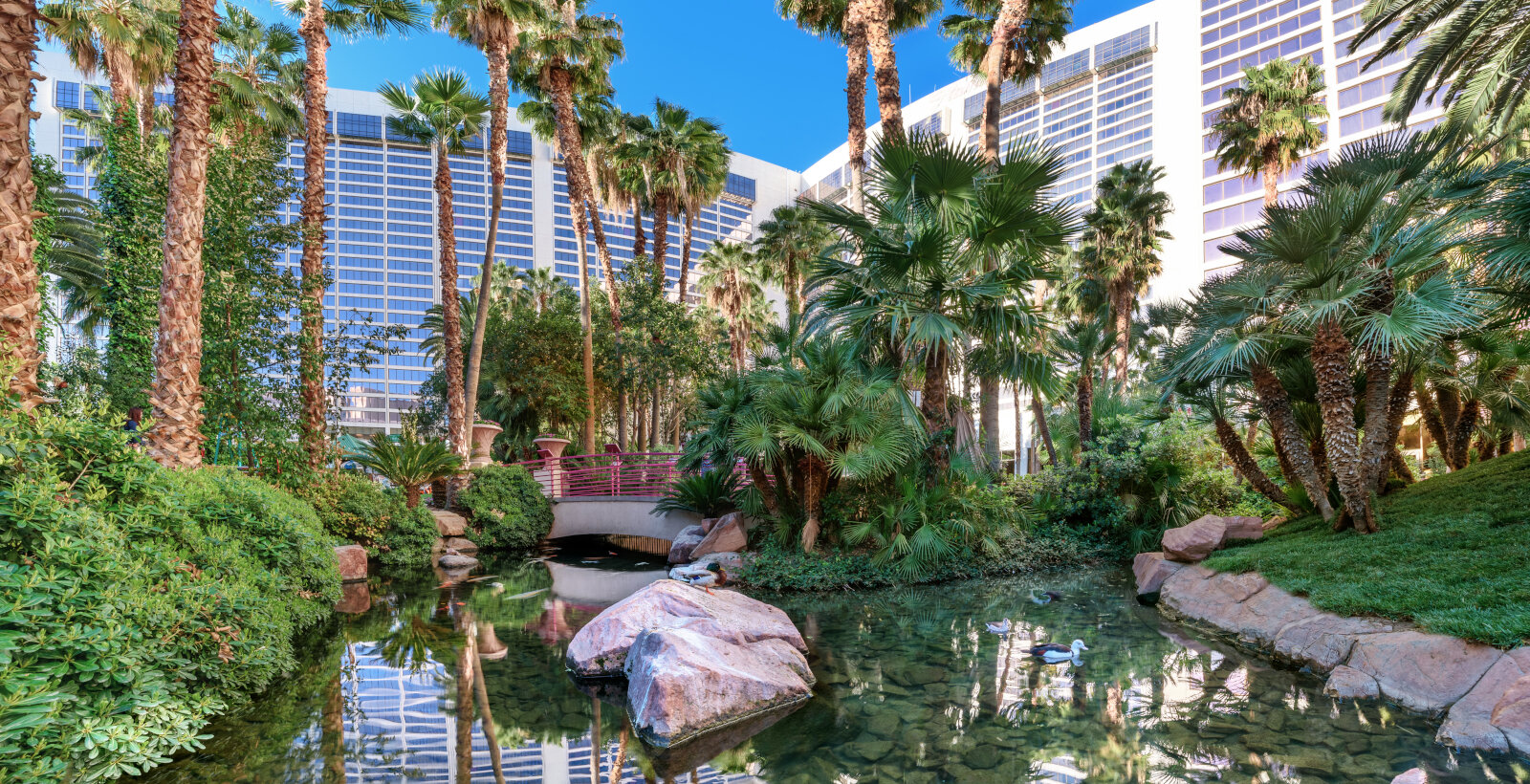 Flamingo Wildlife Habitat Uploaded on 2021-12-14