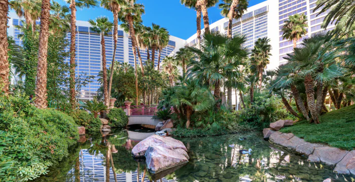 Flamingo Wildlife Habitat Uploaded on 2021-12-14