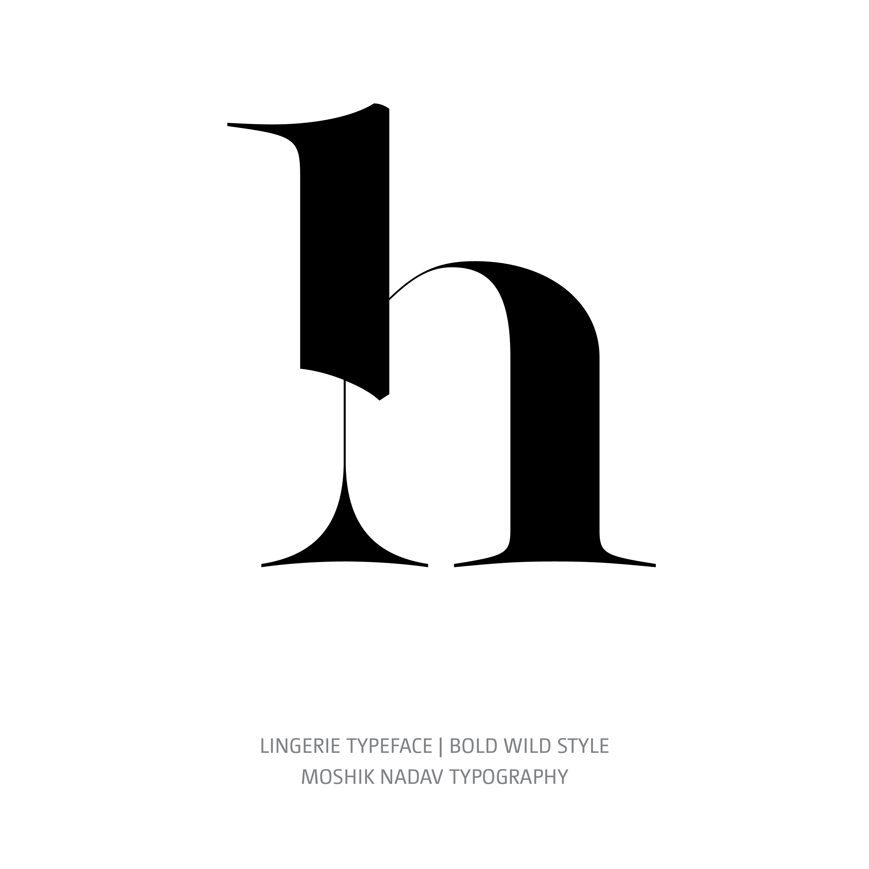 Lingerie Typeface Bold Wild h
