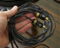 Thales Line Interconnect RCA 1.5 Meter 5