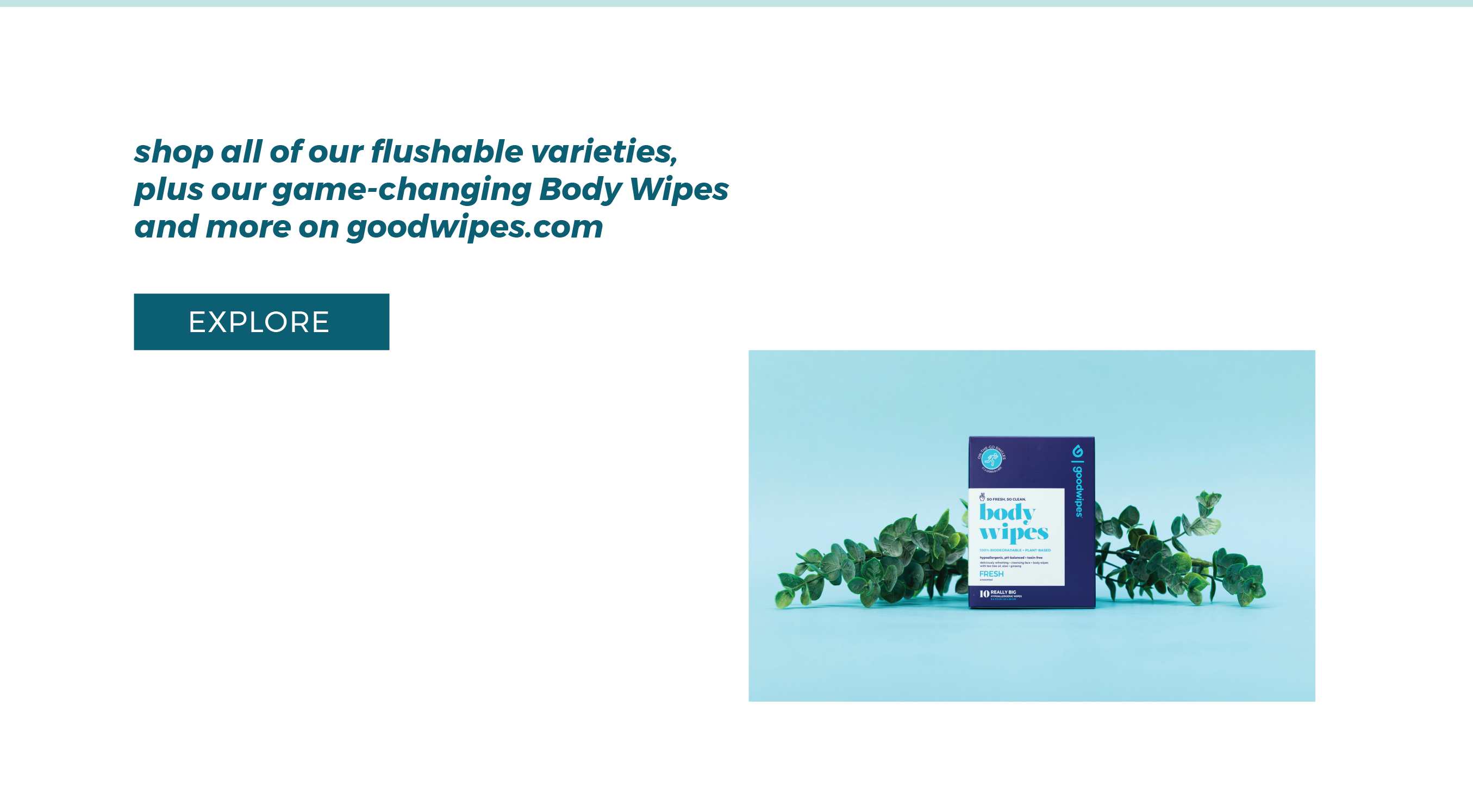 Goodwipes shop our other products on goodwipes.com