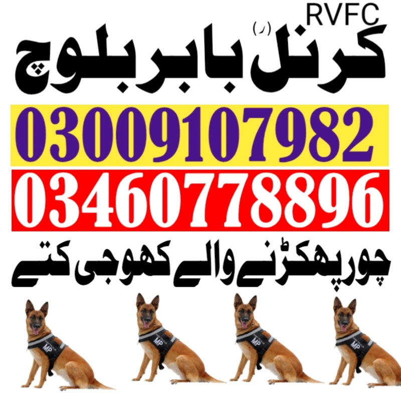 https://ucarecdn.com/48360960-60a8-4411-bd17-f7ba379fcac9/ cover